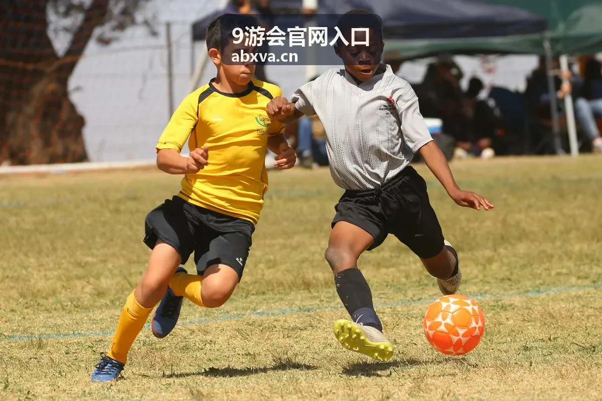 9游会官网入口线路核对说明封面