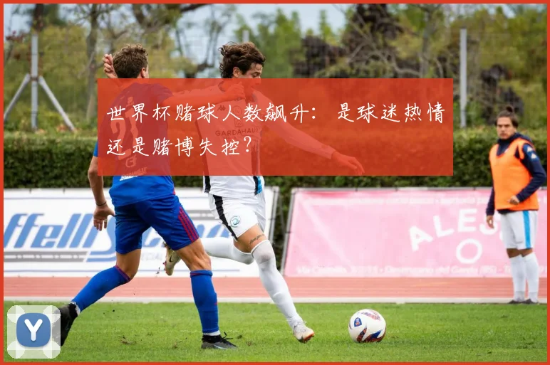 世界杯赌球人数飙升：是球迷热情还是赌博失控？