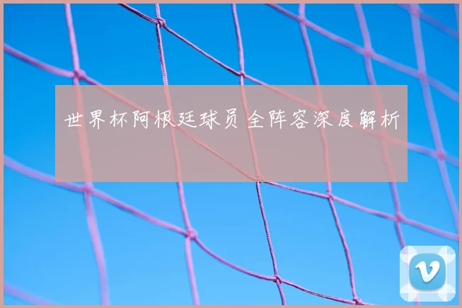 世界杯阿根廷球员全阵容深度解析
